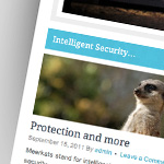 Meerkats Security website